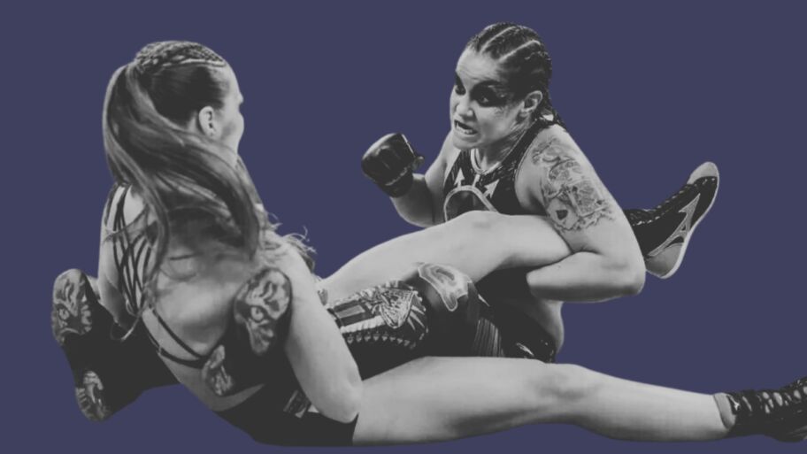 Ronda Rousey Shayna Baszler WWE SummerSlam MMA Rules Match Mid Fight