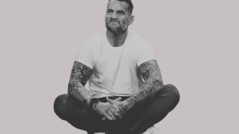CM Punk WWE Contract Clause