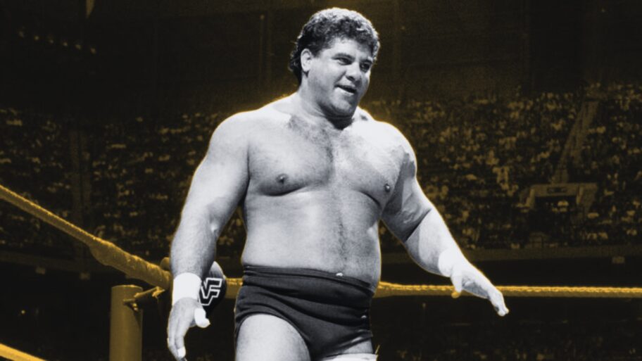 Don Muraco Net Worth